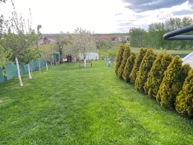 Holiday Home V Kolte Kolta Zewnętrze zdjęcie
